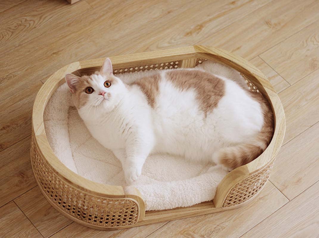 CatsCity Rattan Oval Pet Bed - CreatureLand