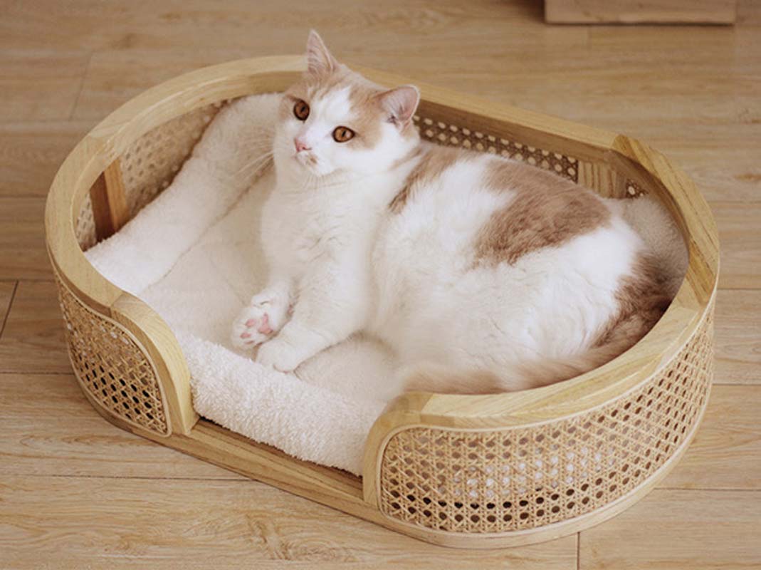 CatsCity Rattan Oval Pet Bed - CreatureLand