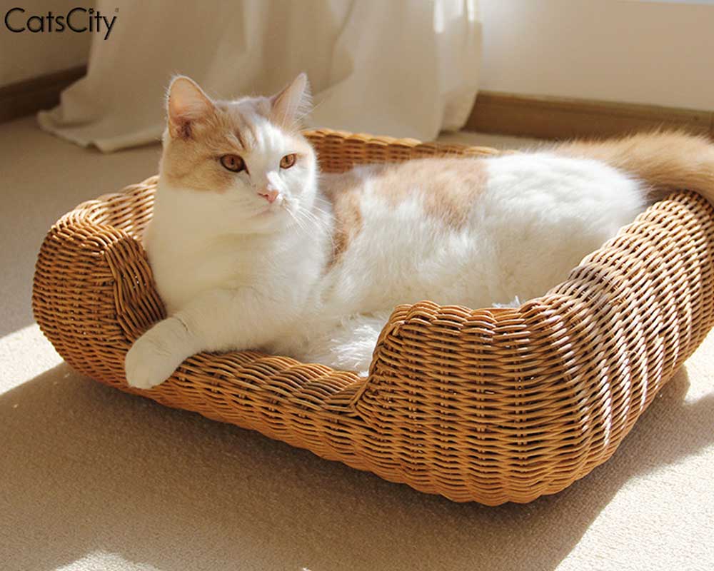 CatsCity Rattan Rectangle Pet Bed - CreatureLand