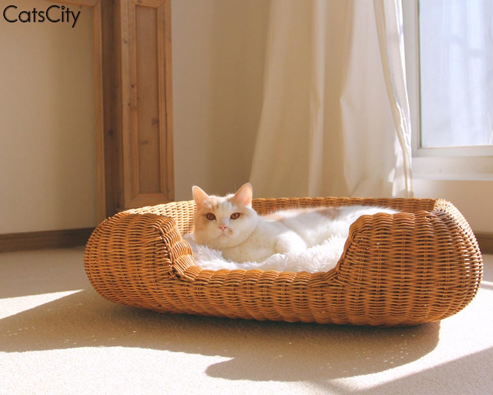 CatsCity Rattan Rectangle Pet Bed - CreatureLand