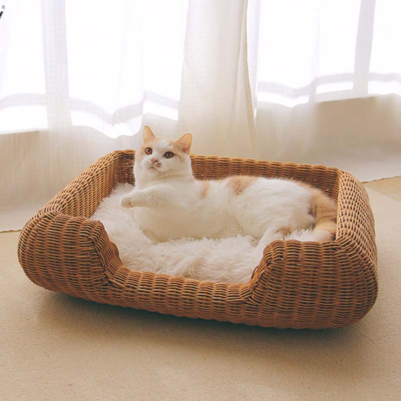 Cat rattan bed sale