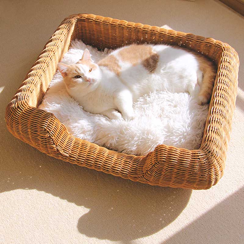 CatsCity Rattan Rectangle Pet Bed - CreatureLand