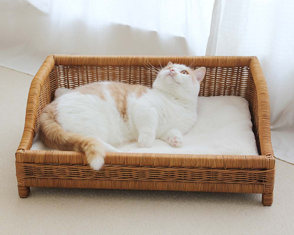 CatsCity Rattan Sofa Lounge - CreatureLand