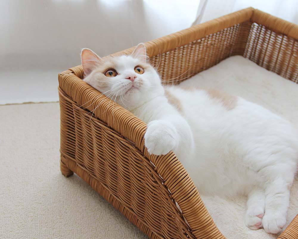CatsCity Rattan Sofa Lounge - CreatureLand
