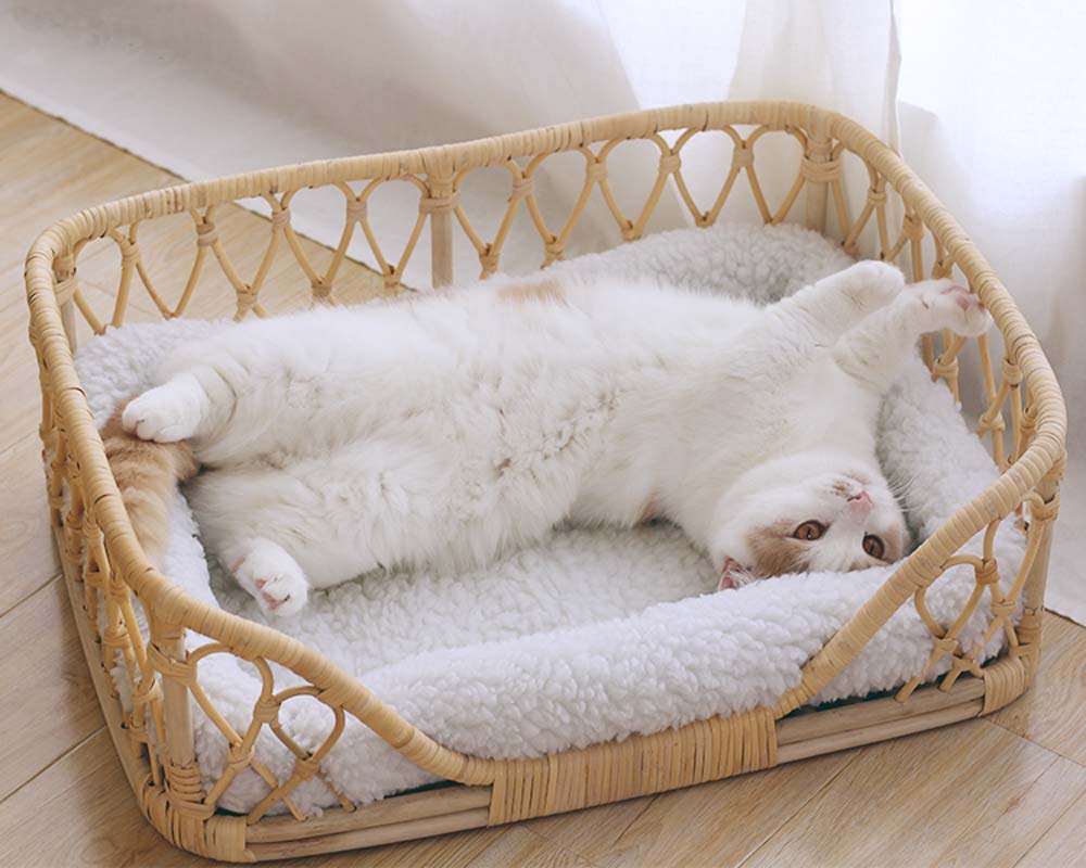 CatsCity Rattan Weave Pet Bed - CreatureLand