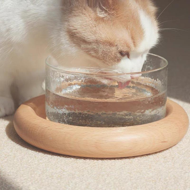 CatsCity Wooden Pet Glass Bowl - CreatureLand
