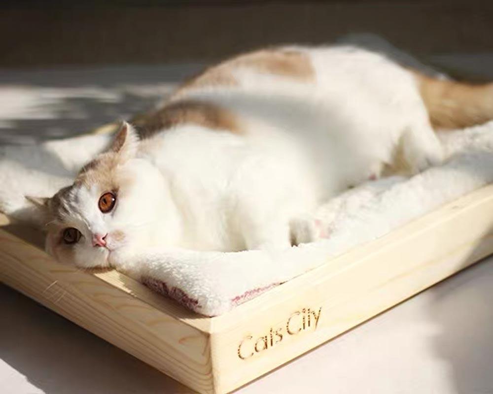 CatsCity Wooden Sunbed - CreatureLand