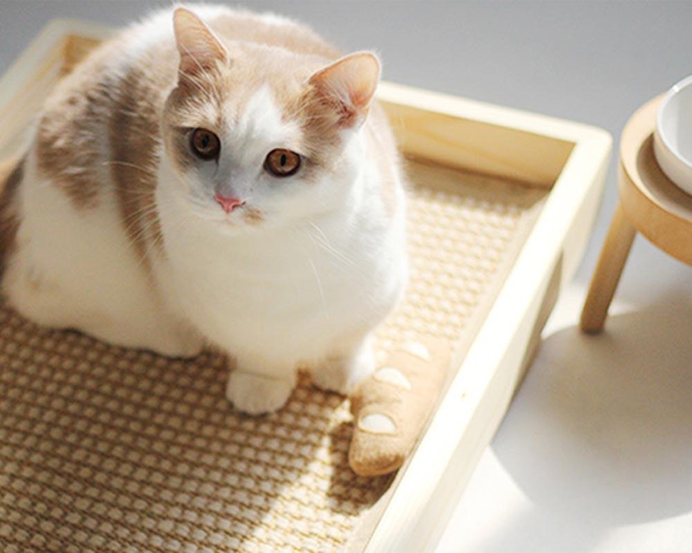 CatsCity Wooden Sunbed - CreatureLand