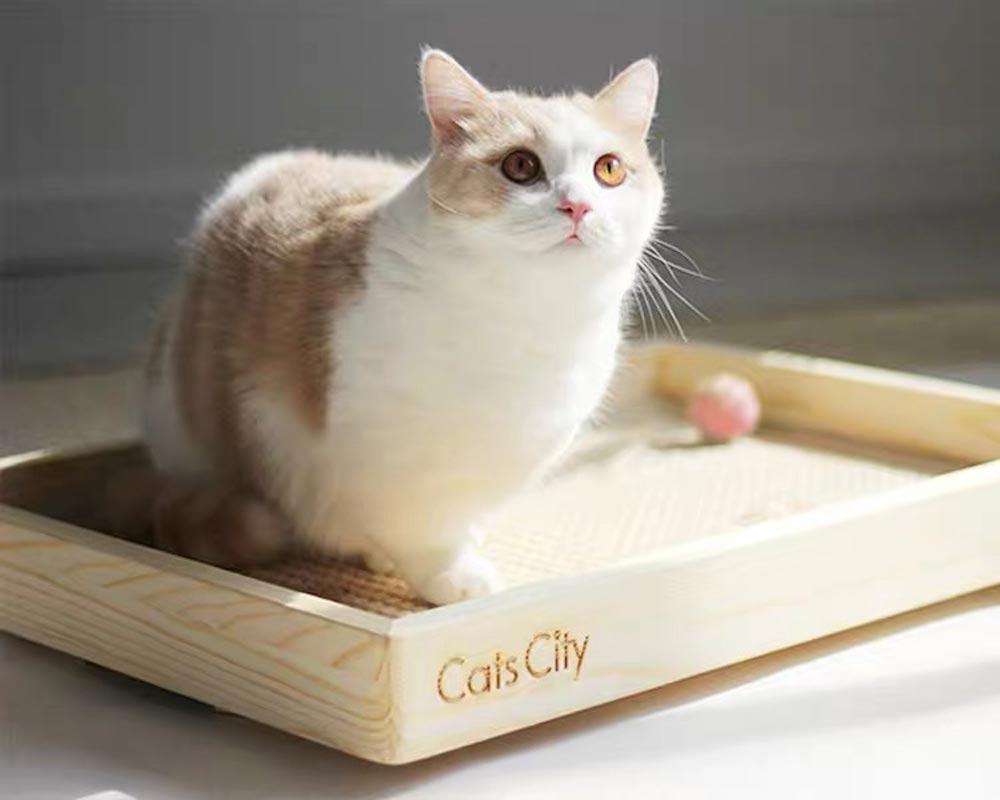 CatsCity Wooden Sunbed - CreatureLand