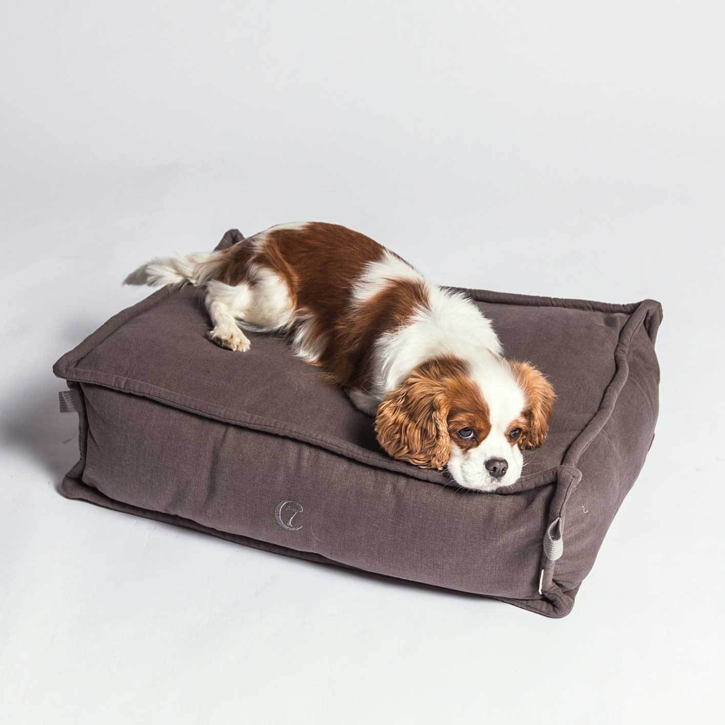 Cloud7 Cozy Dog Bed - Mocca - CreatureLand