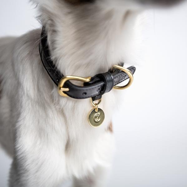 Cloud7 Dog Collar Hyde Park - Black - CreatureLand