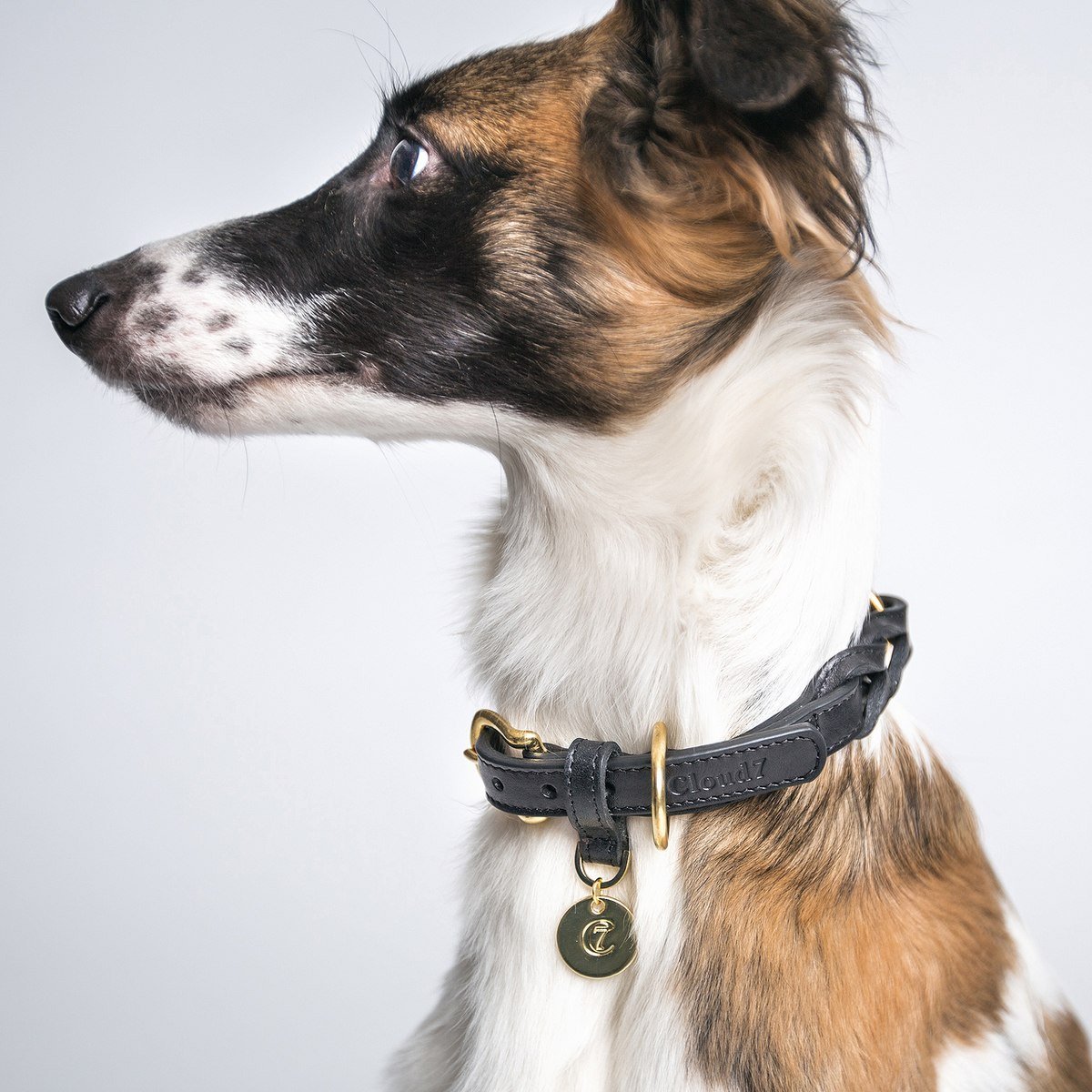 Cloud7 Dog Collar Hyde Park - Black - CreatureLand