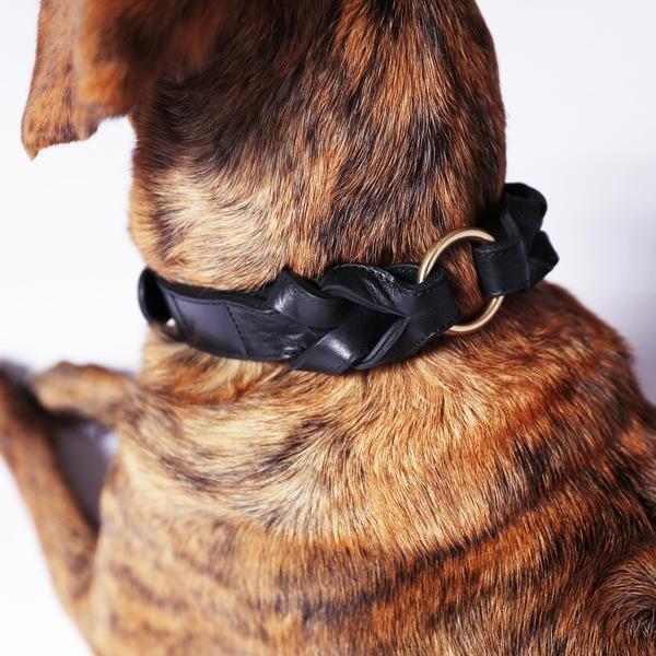 Cloud7 Dog Collar Hyde Park - Black - CreatureLand