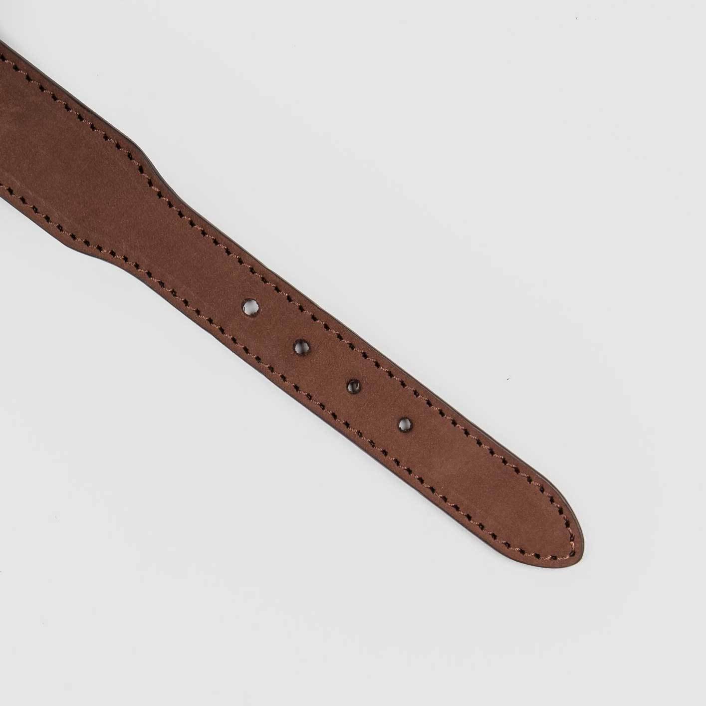 Cloud7 Dog Collar Stanley Park - Noisette - CreatureLand