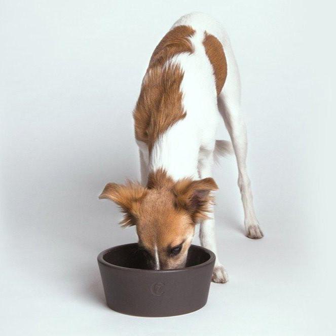Cloud7 Oliver Dog Bowl - Warm Grey - CreatureLand