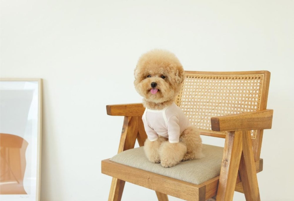 Cosy Corner Merci Golgi Top- Pink - CreatureLand