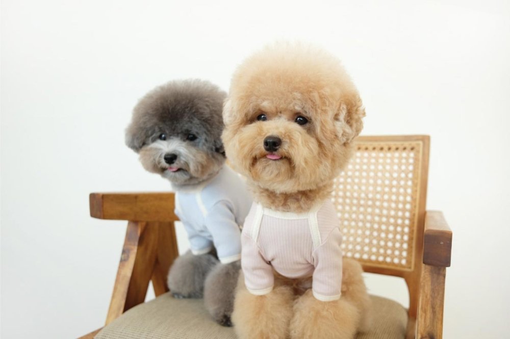 Cosy Corner Merci Golgi Top- Pink - CreatureLand