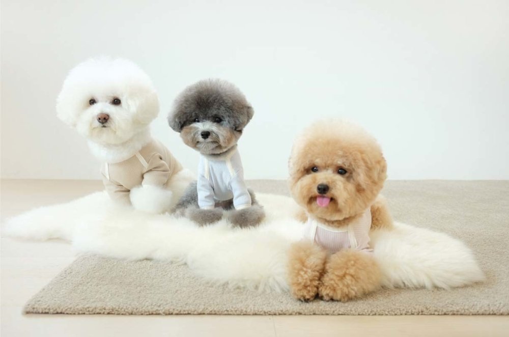 Cosy Corner Merci Golgi Top- Pink - CreatureLand