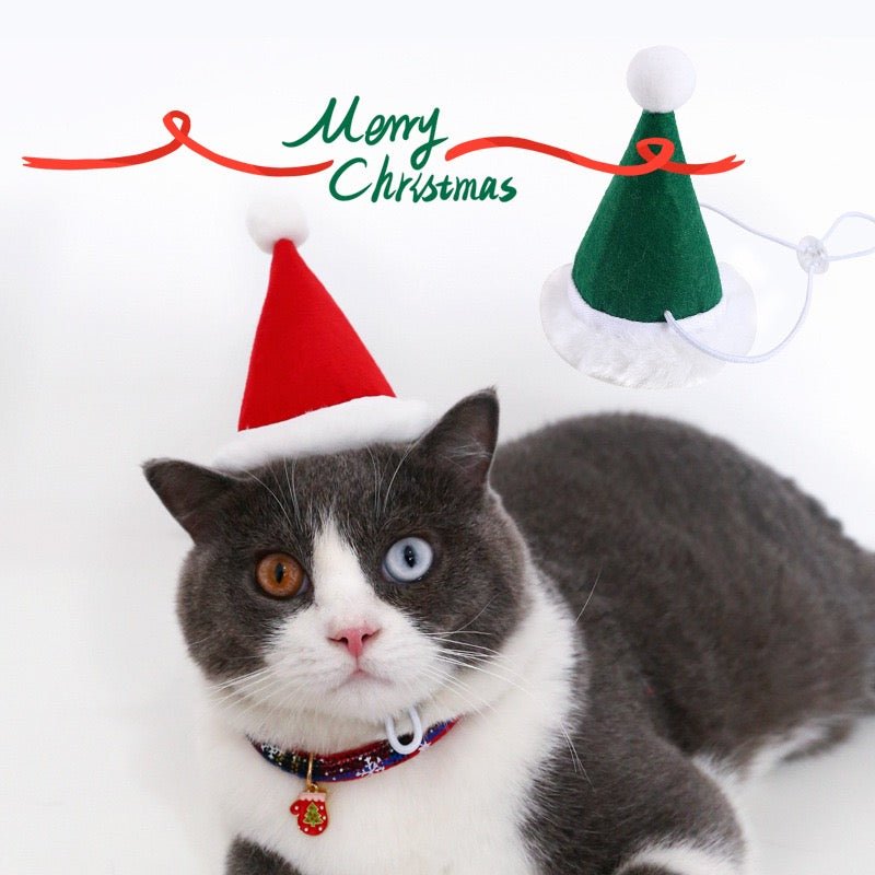 CreatureLand Christmas Checkered Accessories & Toys Cat Box Set (2 Colours) - CreatureLand