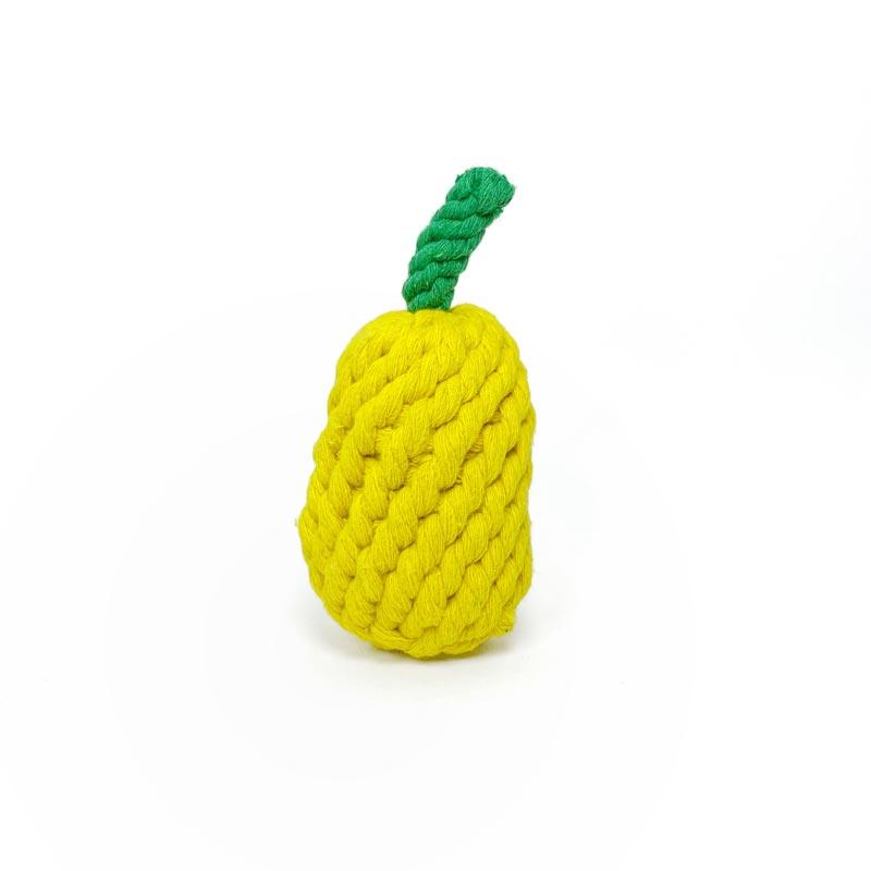 CreatureLand P for Pineapple Dog Rope Toy - CreatureLand