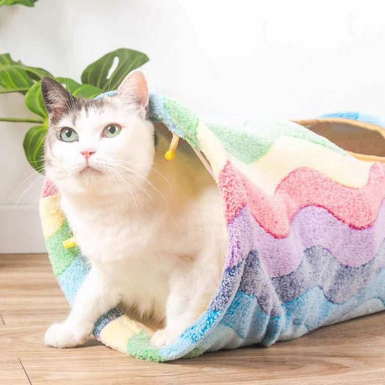 CreatureLand Rainbow Cat Tunnel - CreatureLand