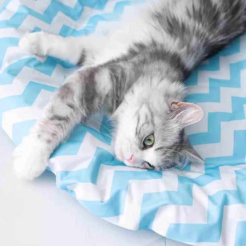 CreatureLand Zaco Cooling Mat (2 Colours) - CreatureLand