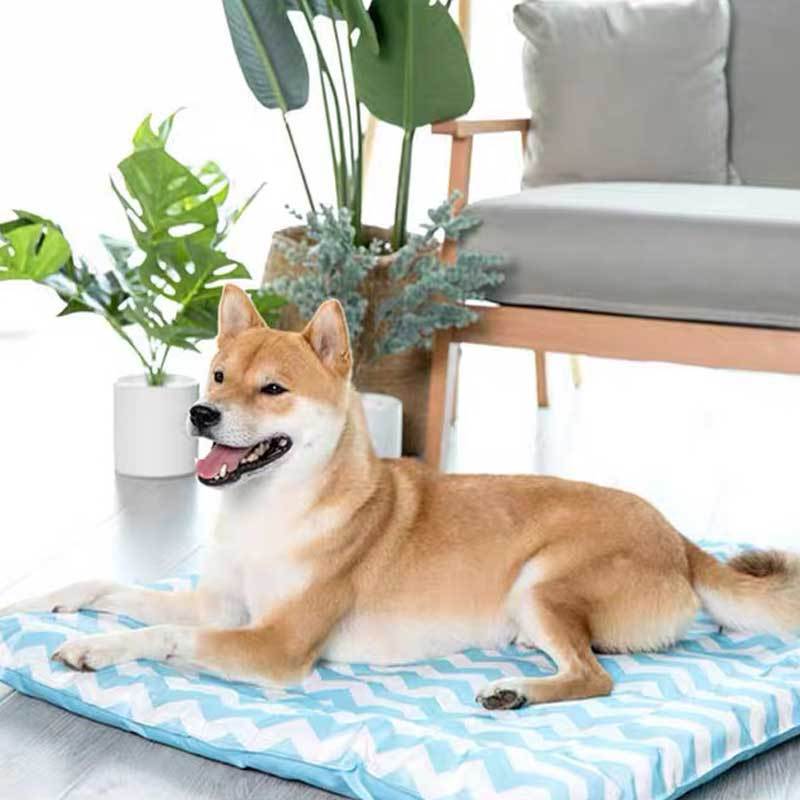 CreatureLand Zaco Cooling Mat (2 Colours) - CreatureLand