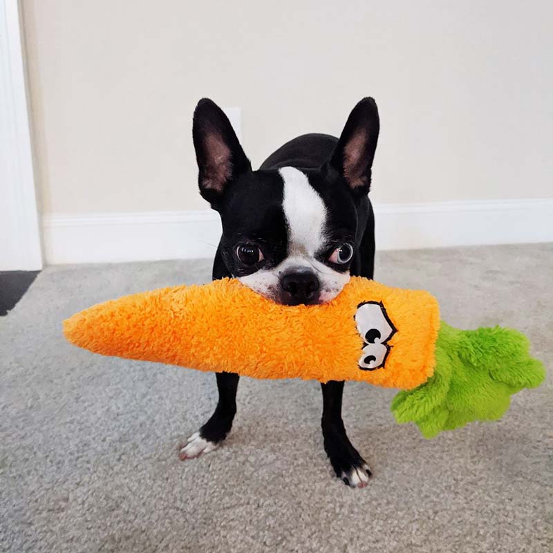 Cycle Dog Duraplush Carrot Dog Toy - CreatureLand