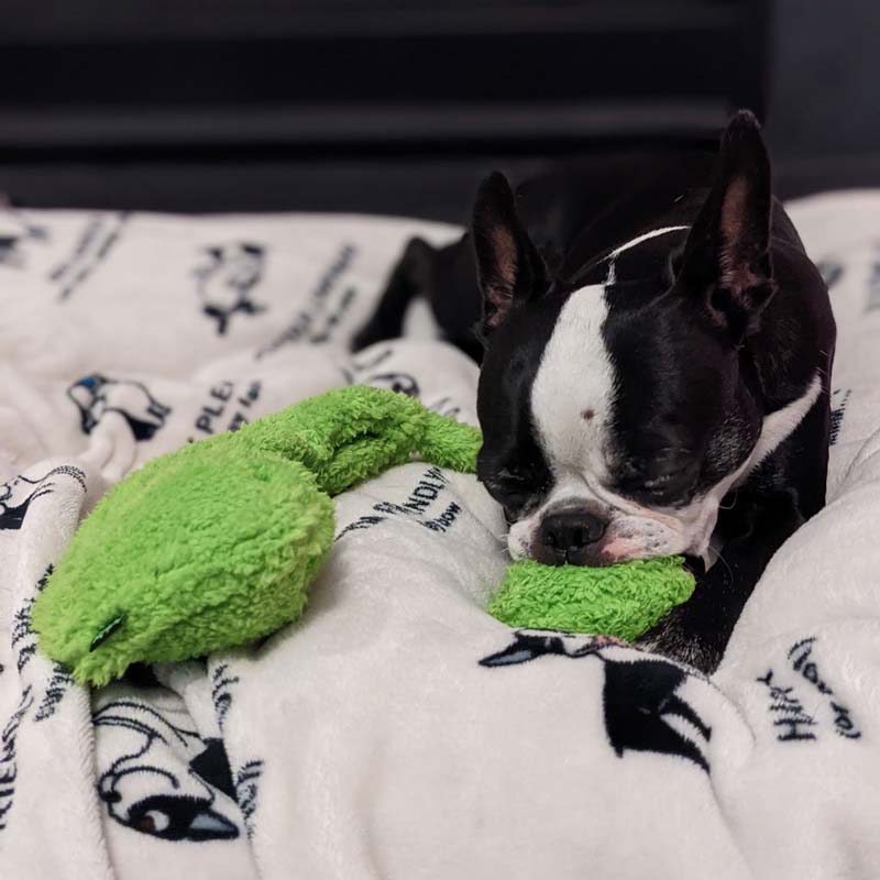 Cycle Dog Duraplush Peas in a Pod Dog Toy - CreatureLand