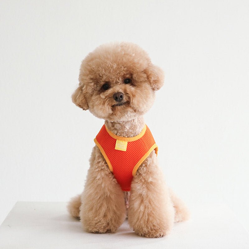 Dentist Appointment Disney Cooling Vest | Tigger - CreatureLand