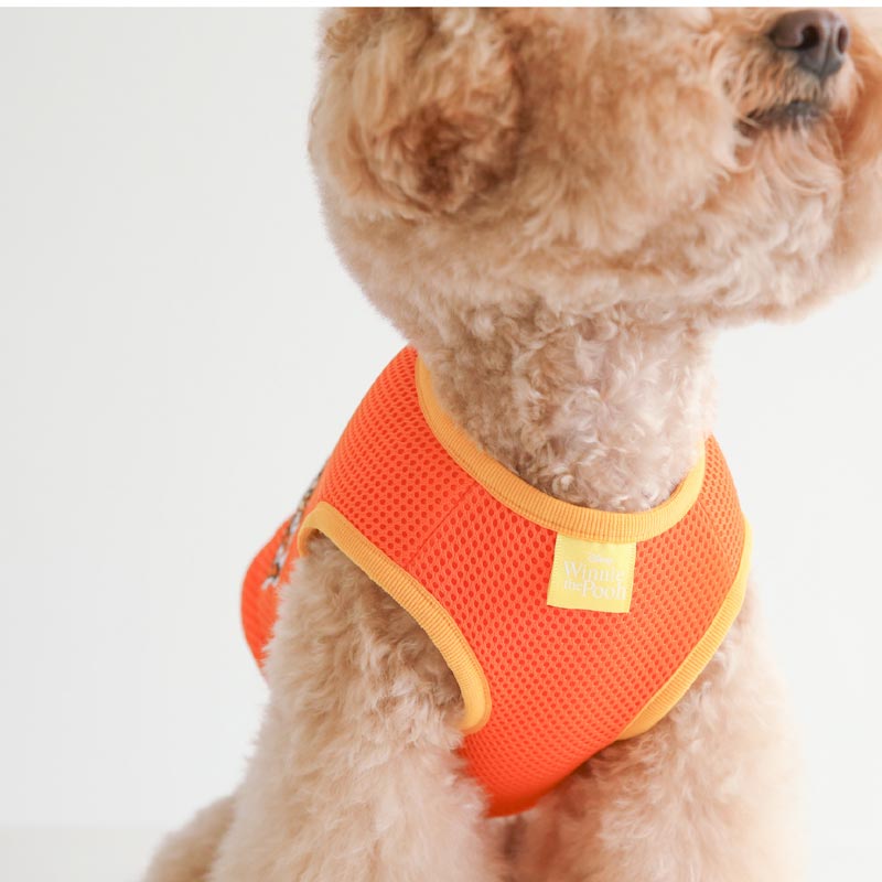 Dentist Appointment Disney Cooling Vest | Tigger - CreatureLand