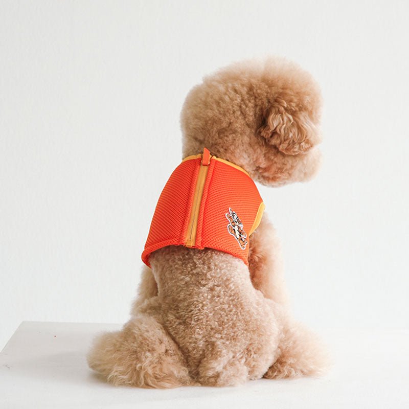 Dentist Appointment Disney Cooling Vest | Tigger - CreatureLand