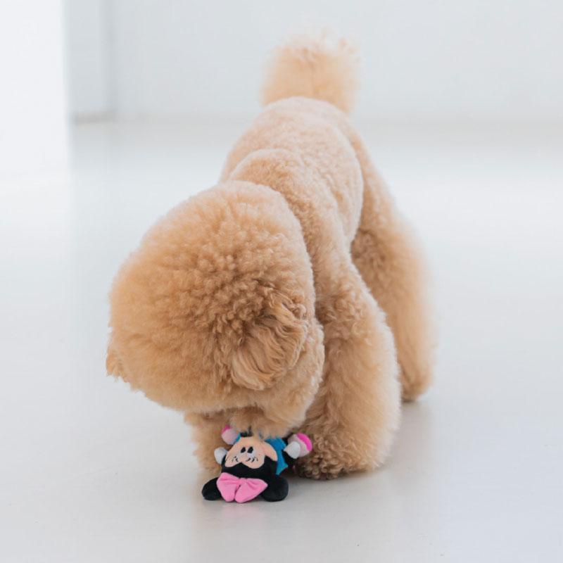 Dentist Appointment Disney Rope Toy - Minnie Mouse - CreatureLand