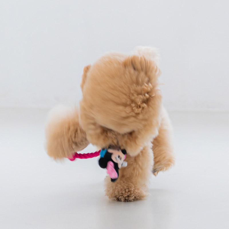 Dentist Appointment Disney Rope Toy - Minnie Mouse - CreatureLand