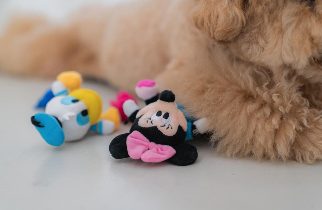 Dentist Appointment Disney Rope Toy - Minnie Mouse - CreatureLand