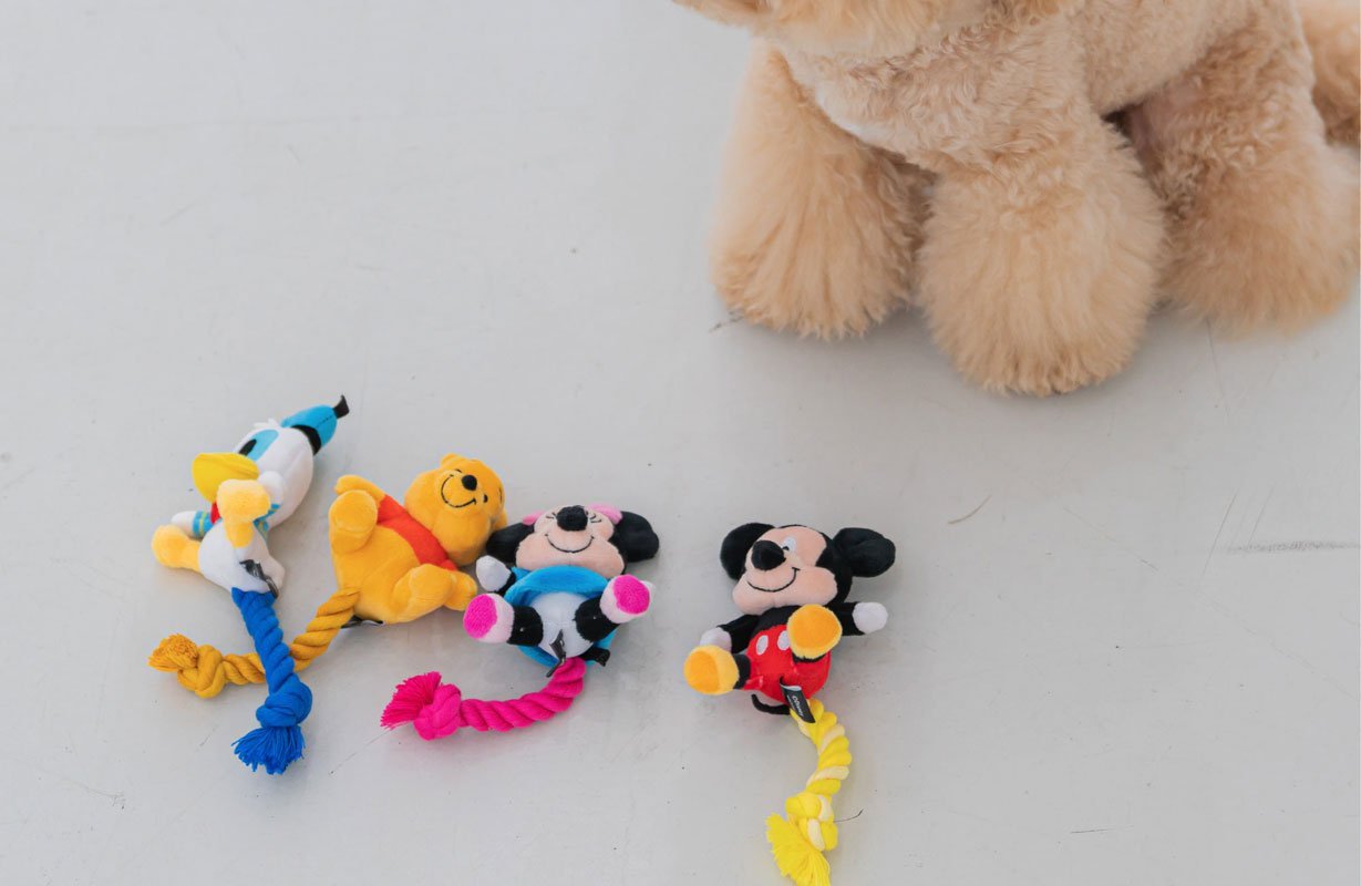 Dentist Appointment Disney Rope Toy - Minnie Mouse - CreatureLand