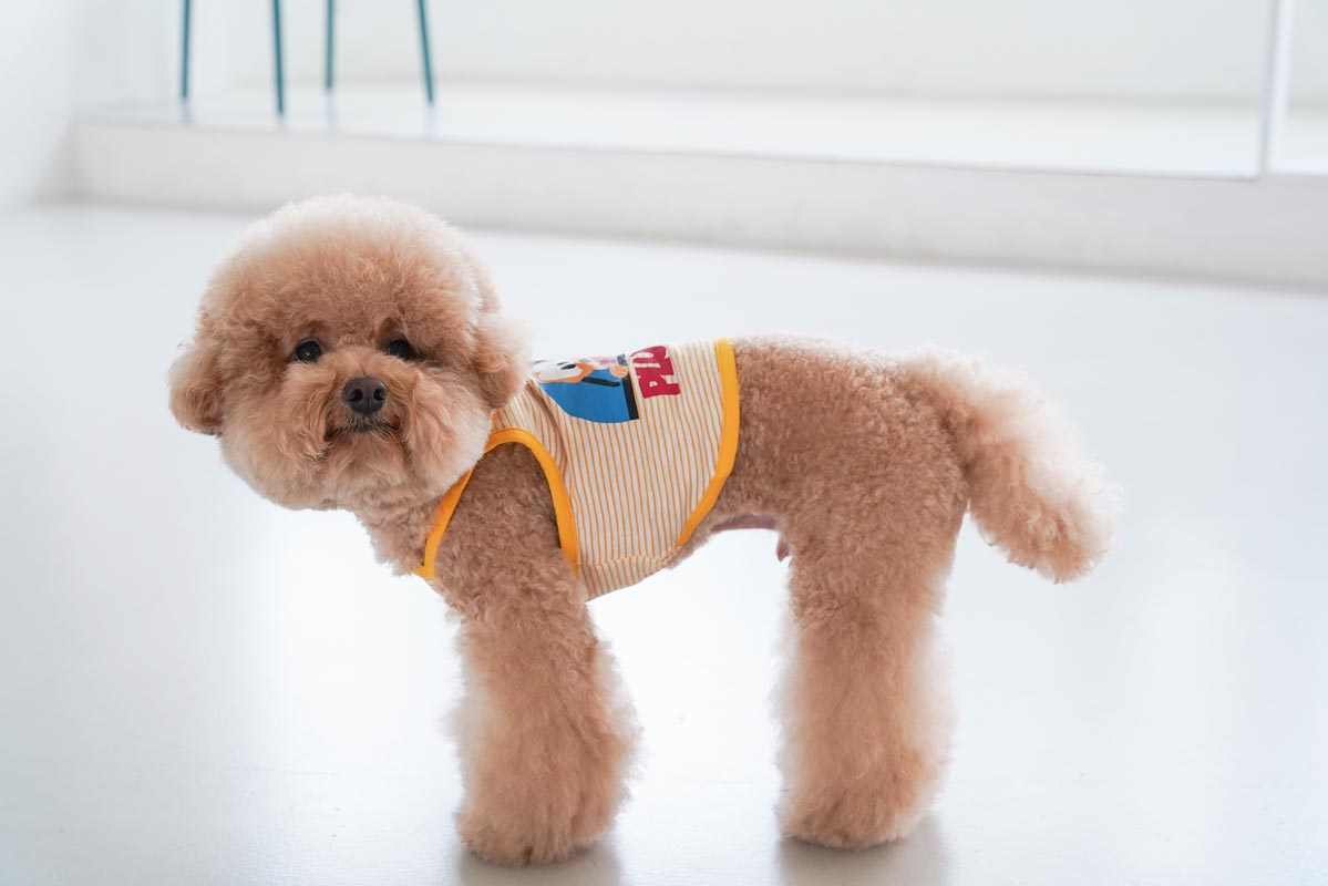 Dentist Appointment Disney String Crop Sleeveless - Pluto - CreatureLand