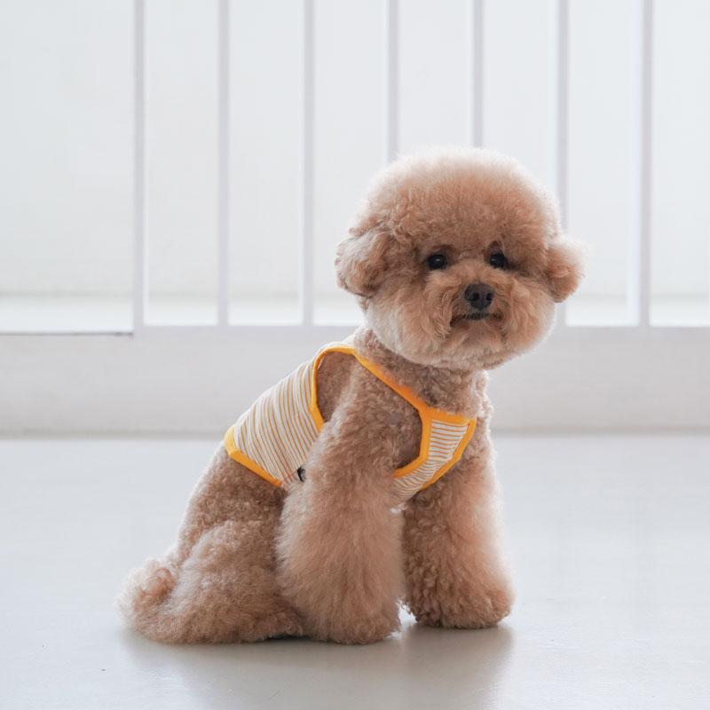 Dentist Appointment Disney String Crop Sleeveless - Pluto - CreatureLand