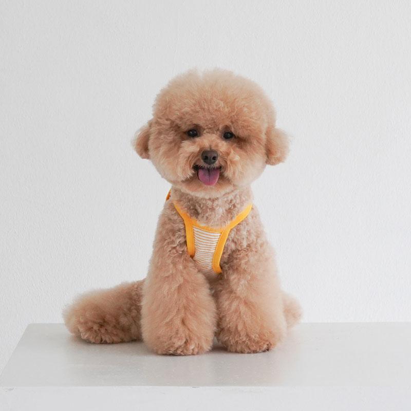 Dentist Appointment Disney String Crop Sleeveless - Pluto - CreatureLand