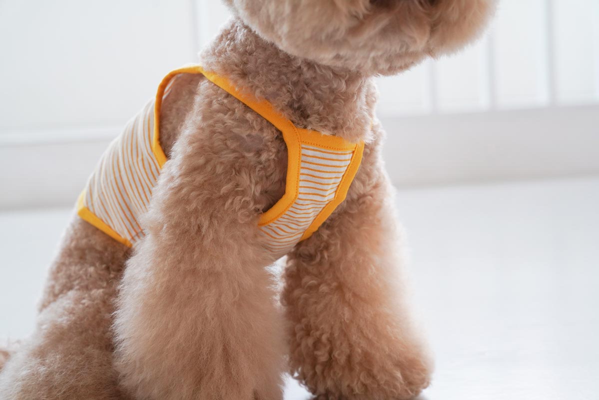 Dentist Appointment Disney String Crop Sleeveless - Pluto - CreatureLand