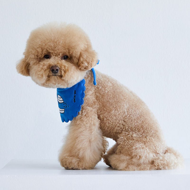 Dentist Appointment Mr. Men Little Miss Pet Bib | Mr Bump - CreatureLand