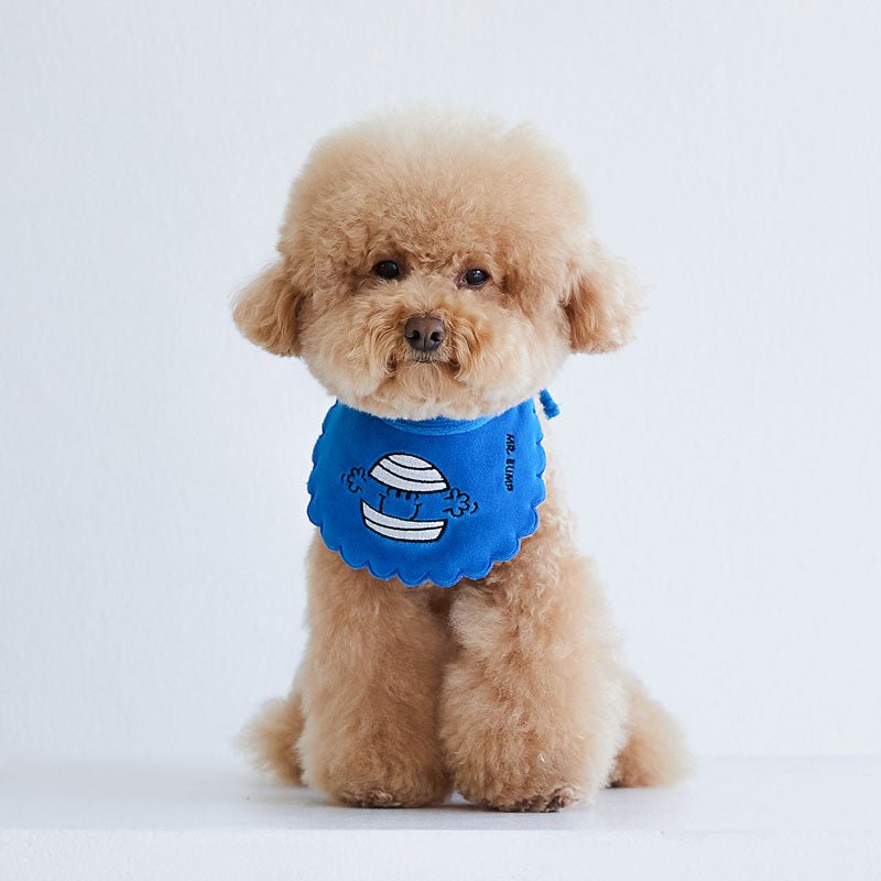 Dentist Appointment Mr. Men Little Miss Pet Bib | Mr Bump - CreatureLand