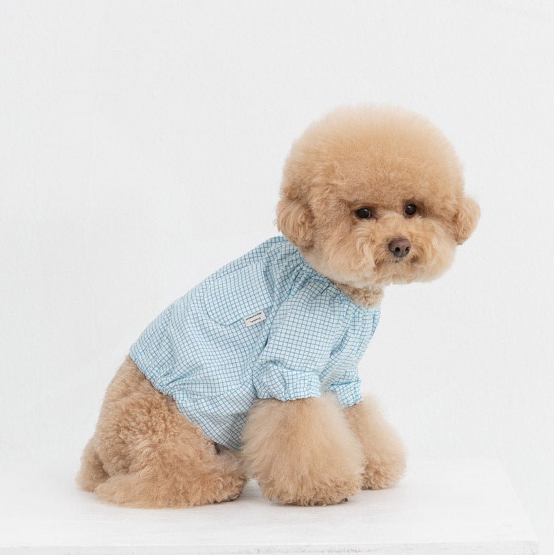 Dentist Appointment Pumpkin Crop Top - Blue - CreatureLand