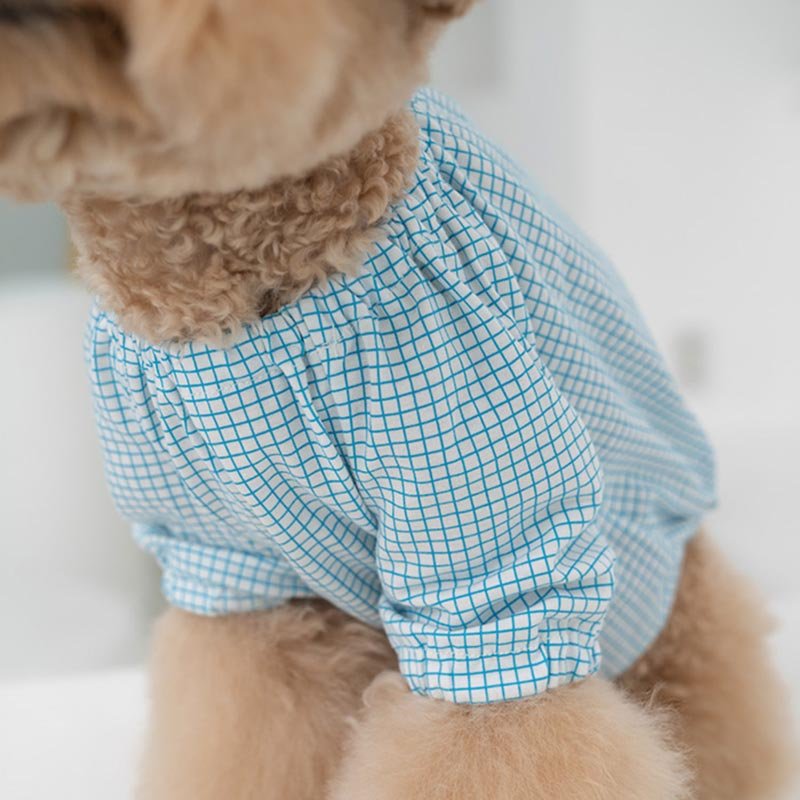 Dentist Appointment Pumpkin Crop Top - Blue - CreatureLand