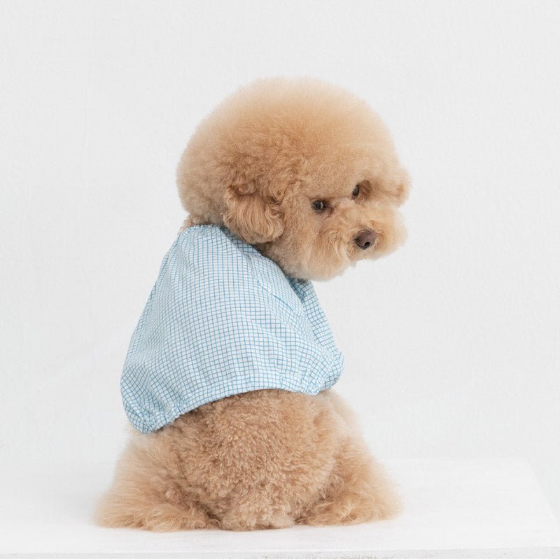 Dentist Appointment Pumpkin Crop Top - Blue - CreatureLand