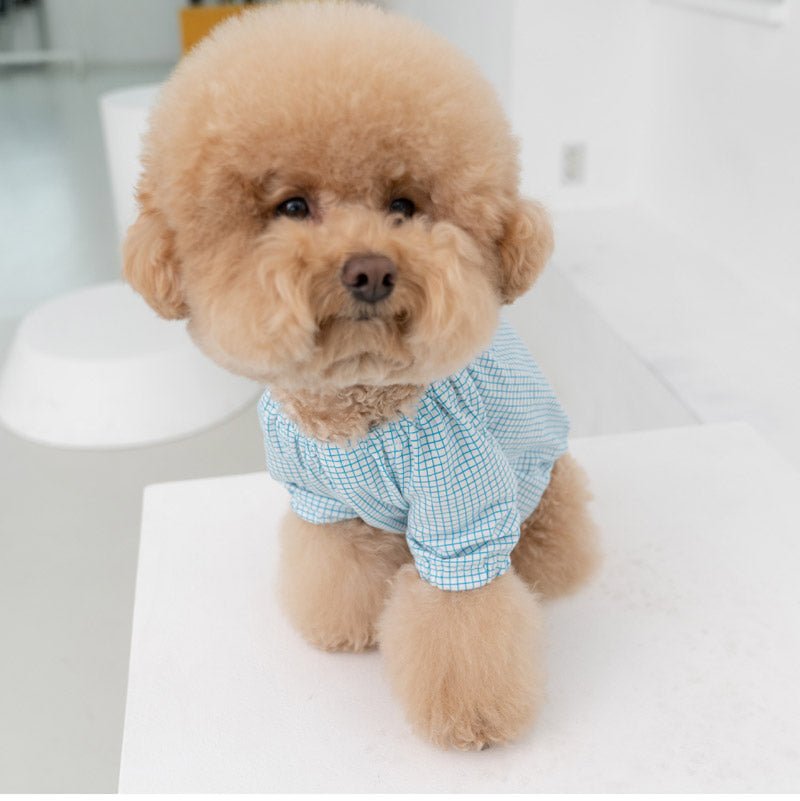 Dentist Appointment Pumpkin Crop Top - Blue - CreatureLand