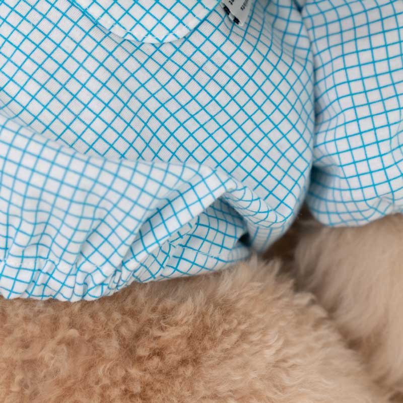 Dentist Appointment Pumpkin Crop Top - Blue - CreatureLand