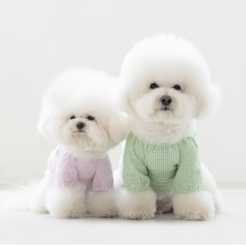 Dentist Appointment Pumpkin Crop Top - Green - CreatureLand