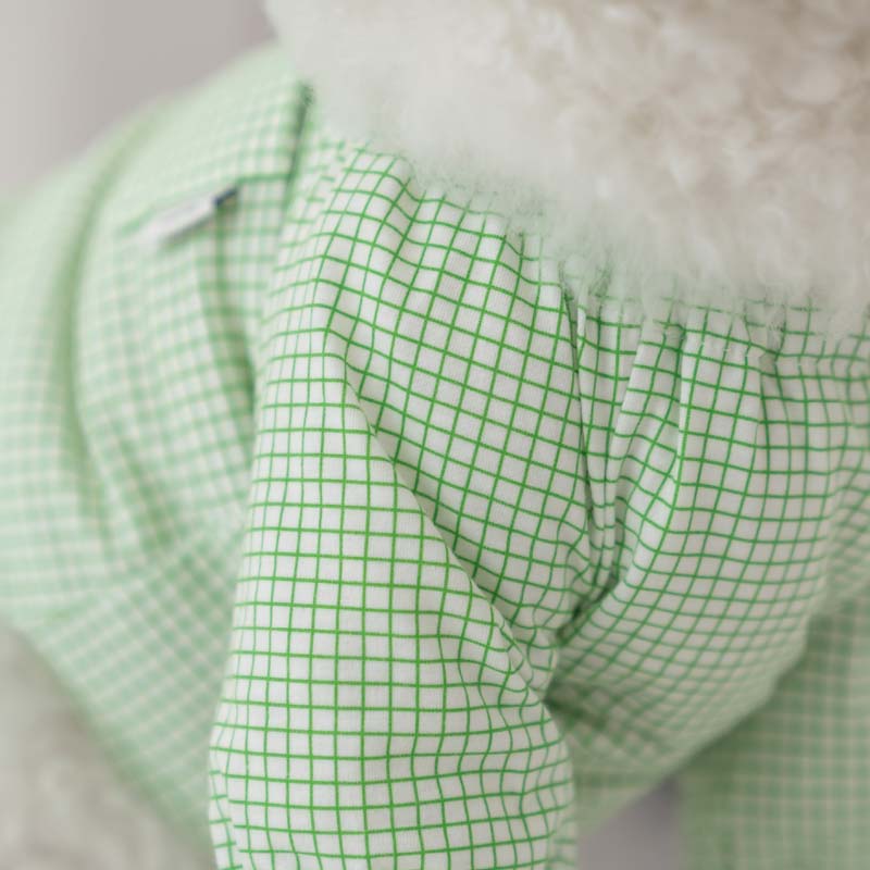 Dentist Appointment Pumpkin Crop Top - Green - CreatureLand