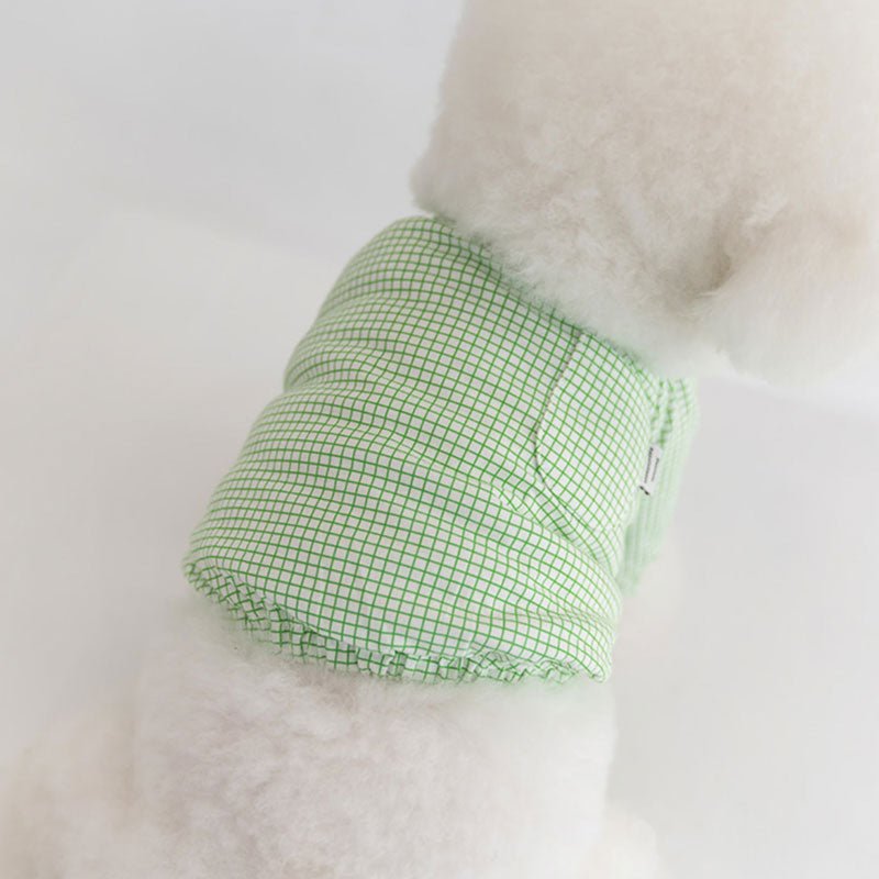 Dentist Appointment Pumpkin Crop Top - Green - CreatureLand